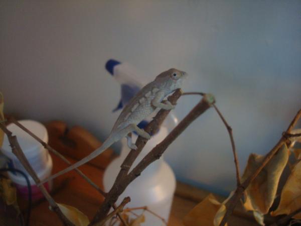newsunny2