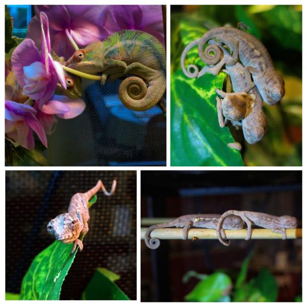 night time in the nurseries