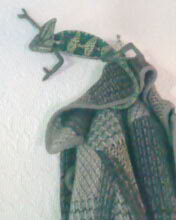 No Its Snakeskin Boots Not Lizard Coats