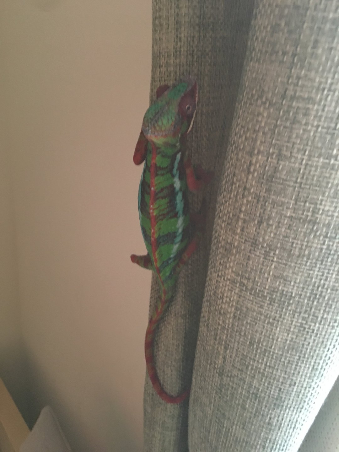 No reallly. They lock me up in it all the time.