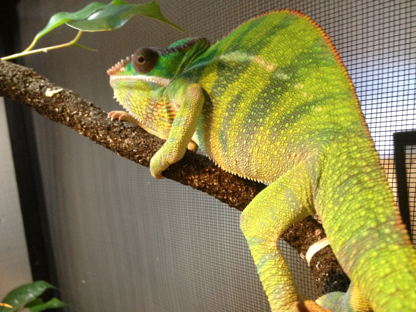 Nosy Mitsio Colours Just Amazing