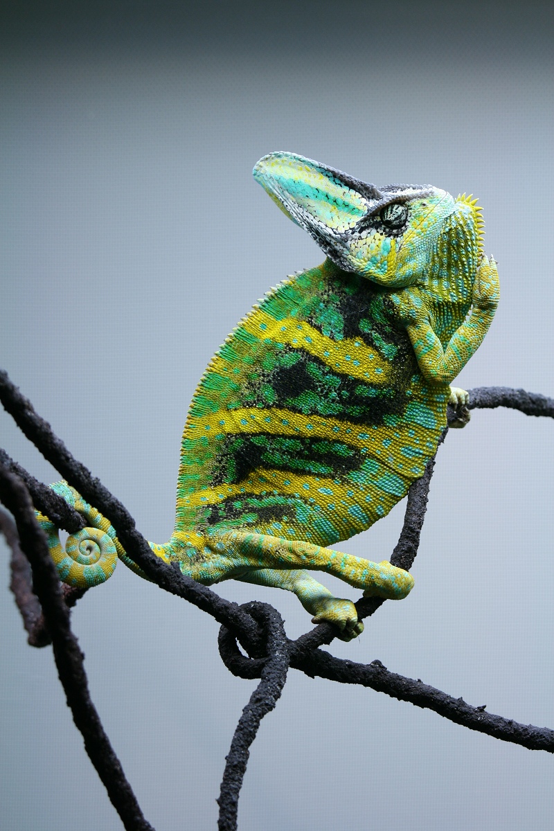 Not Happy With The Move