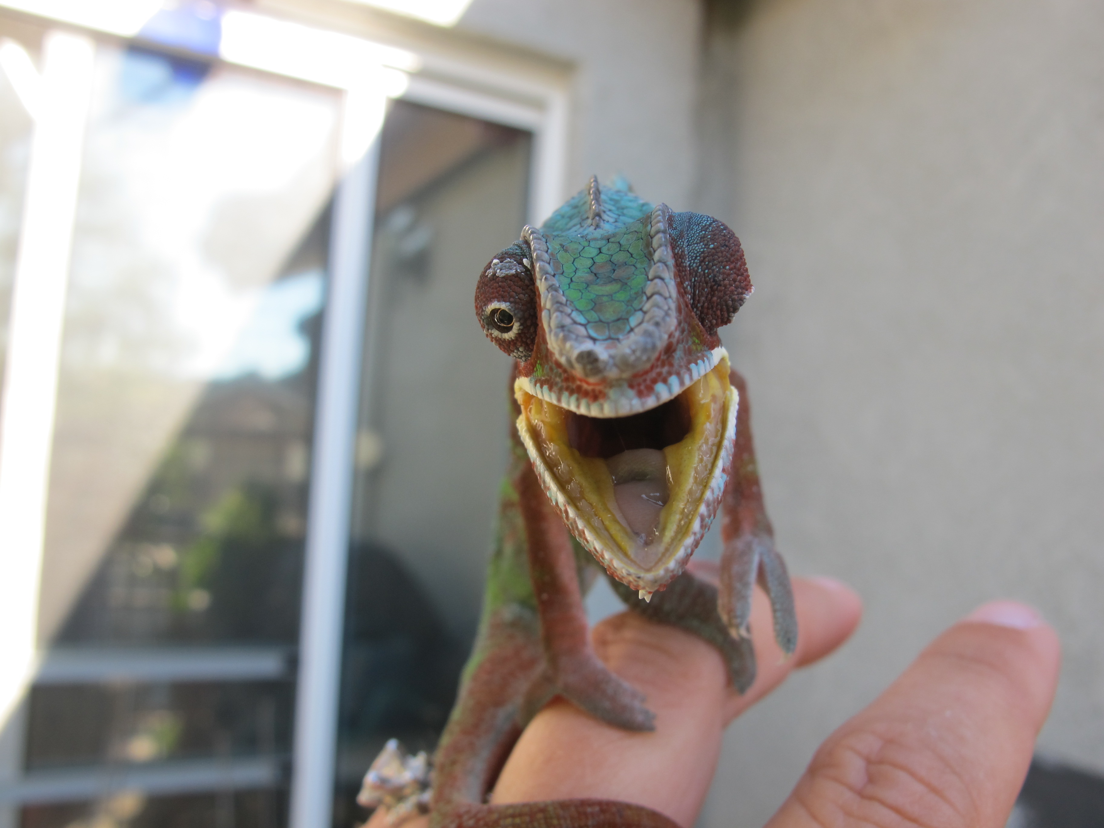 Not Liking The Camera