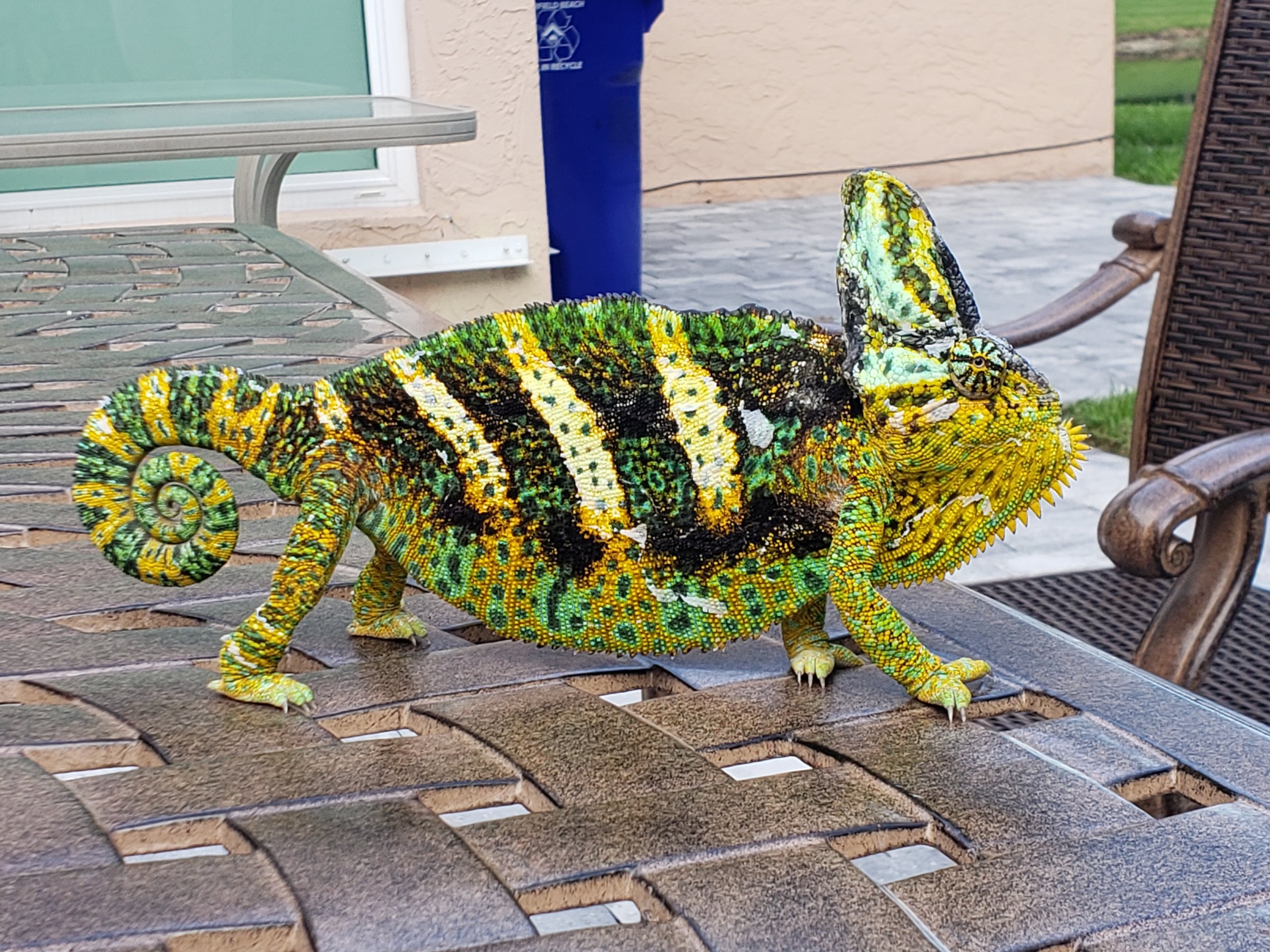 Not to be messed with