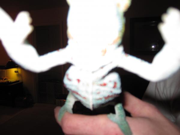 Nov 10 Dec10 Give me that camra!