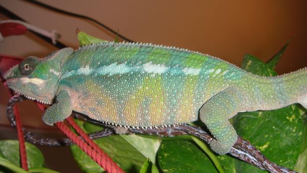 Nov 29. Post shed.  Smiley face lol