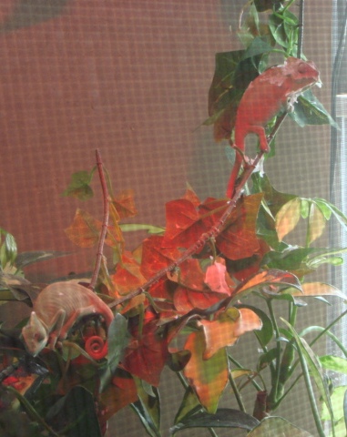 NOVEMBER 2008 019   2