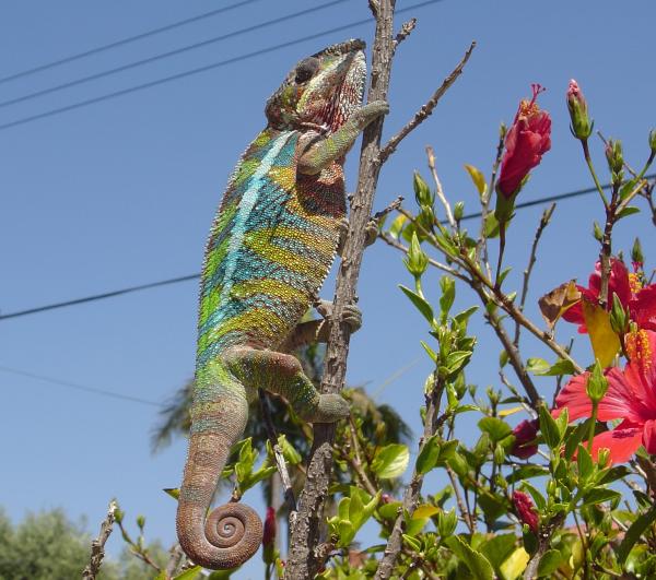 On a Branch!
6/7/2011