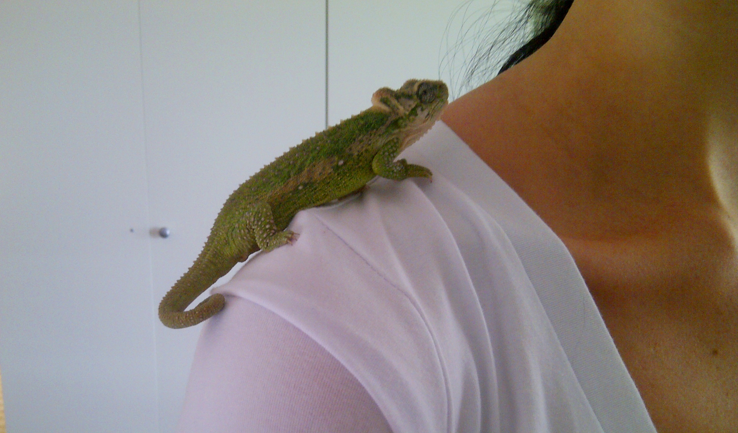 On My Shoulder