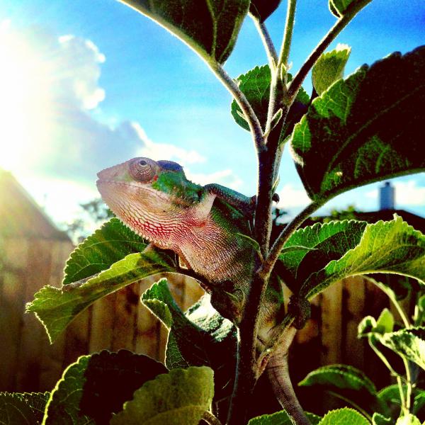 On top of the world! Almost 4 months