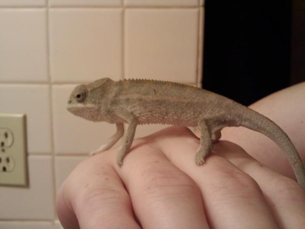 One more pic of Sonny at 3 months