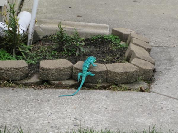 One of the last walks before it gets too cold