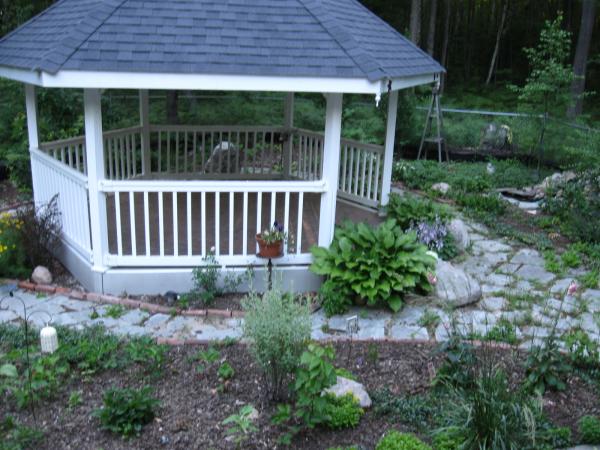 one portion of our back yard, a little under 5 acres, mostly mature woods