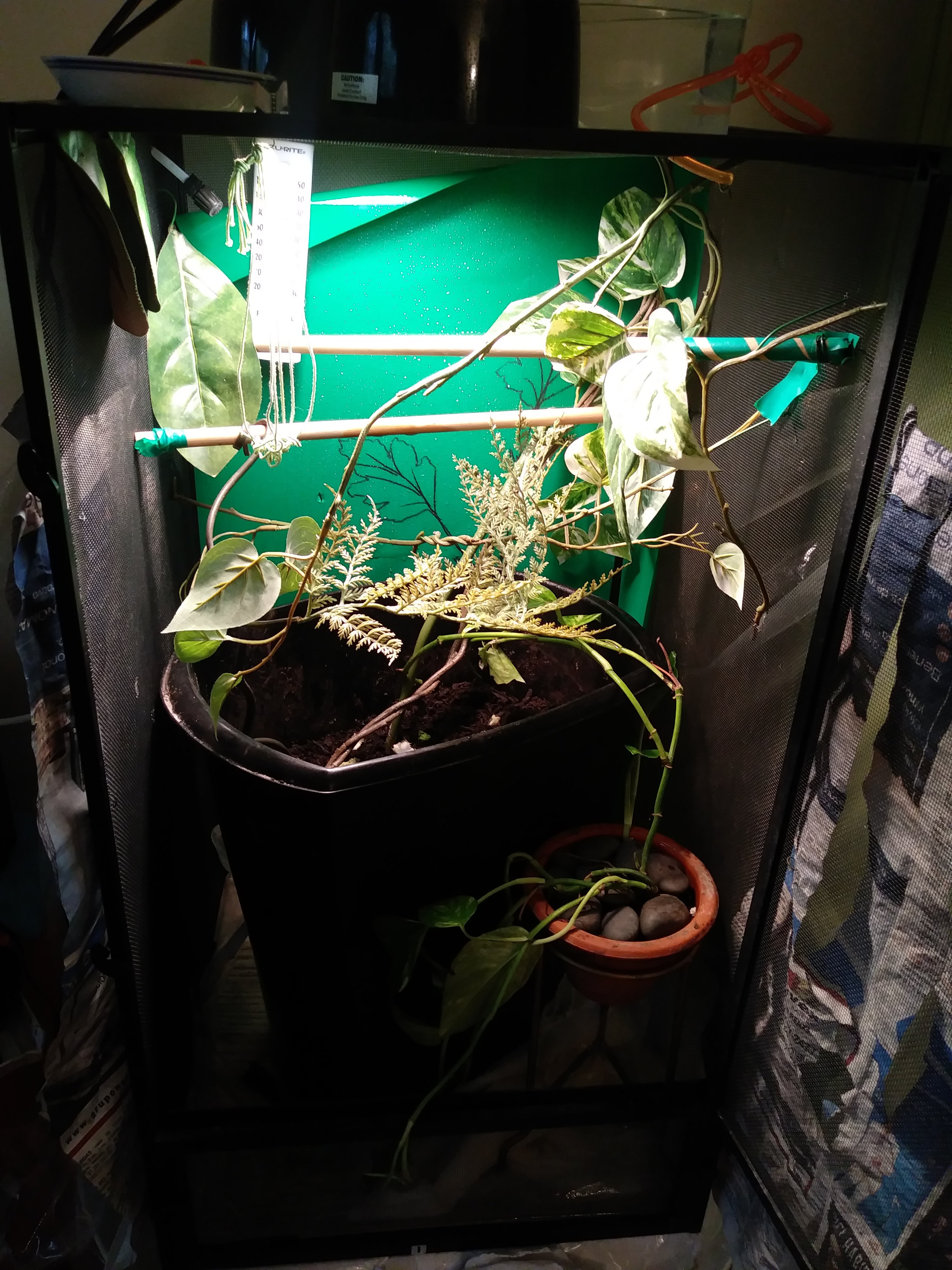 Only nesting bin in the center of viv