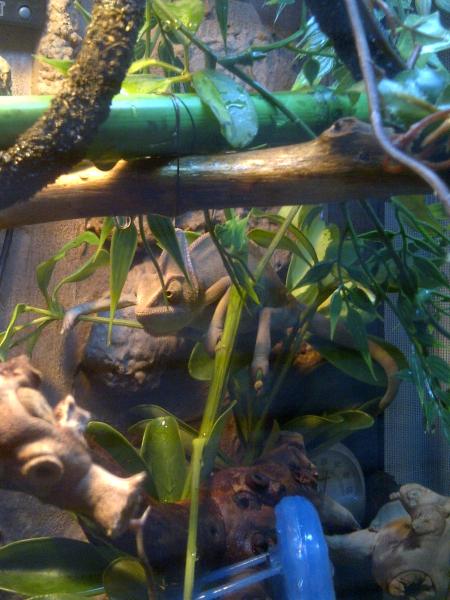 Orangeville 20120220 00209