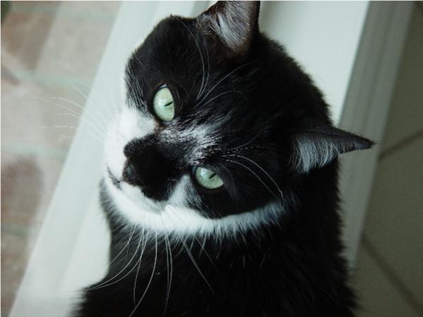 Otis is My Special Boy.
