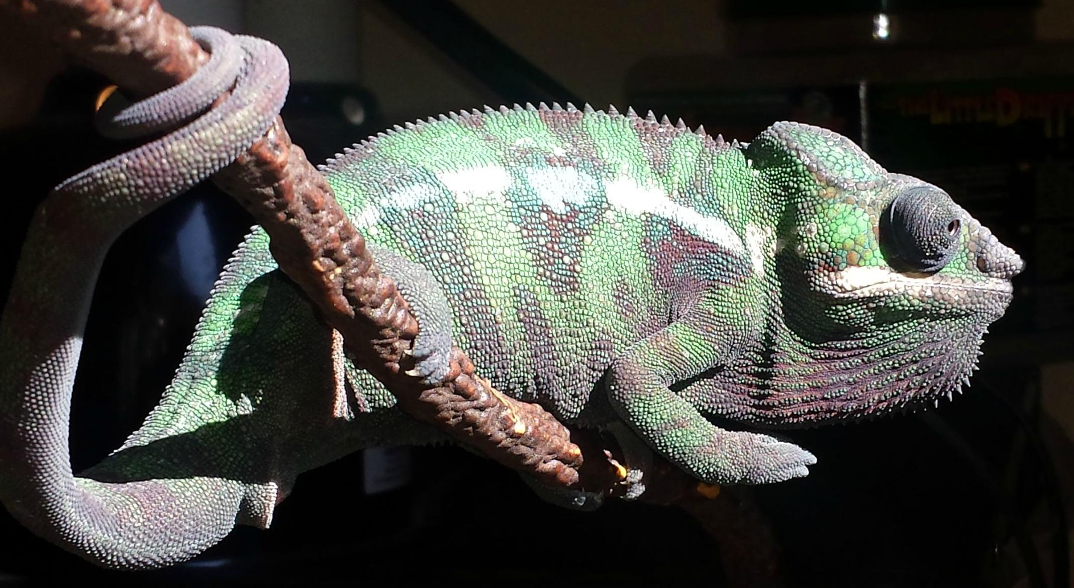 Out Of The Dark, Into The Light.