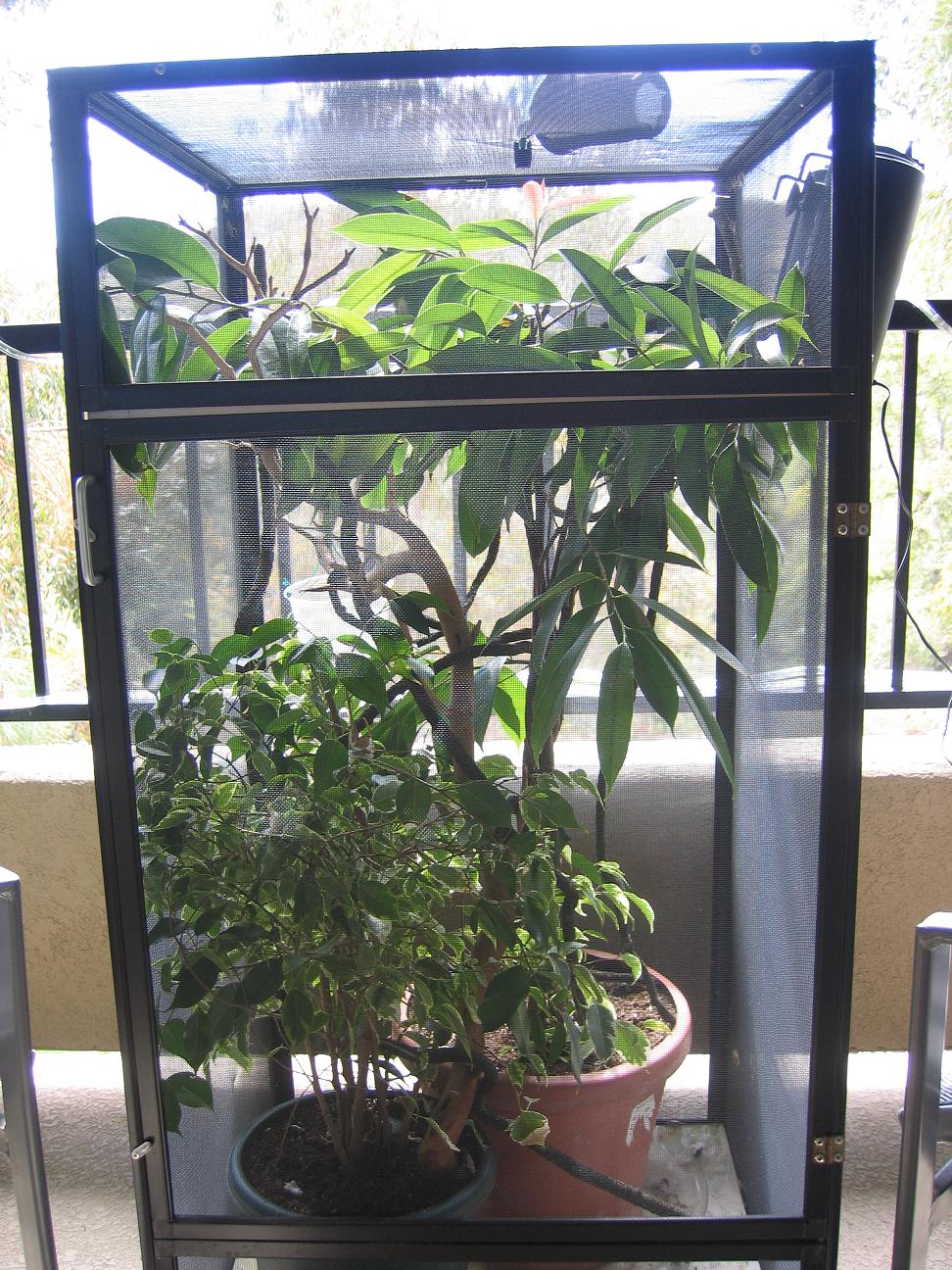 Outdoor balcony setup