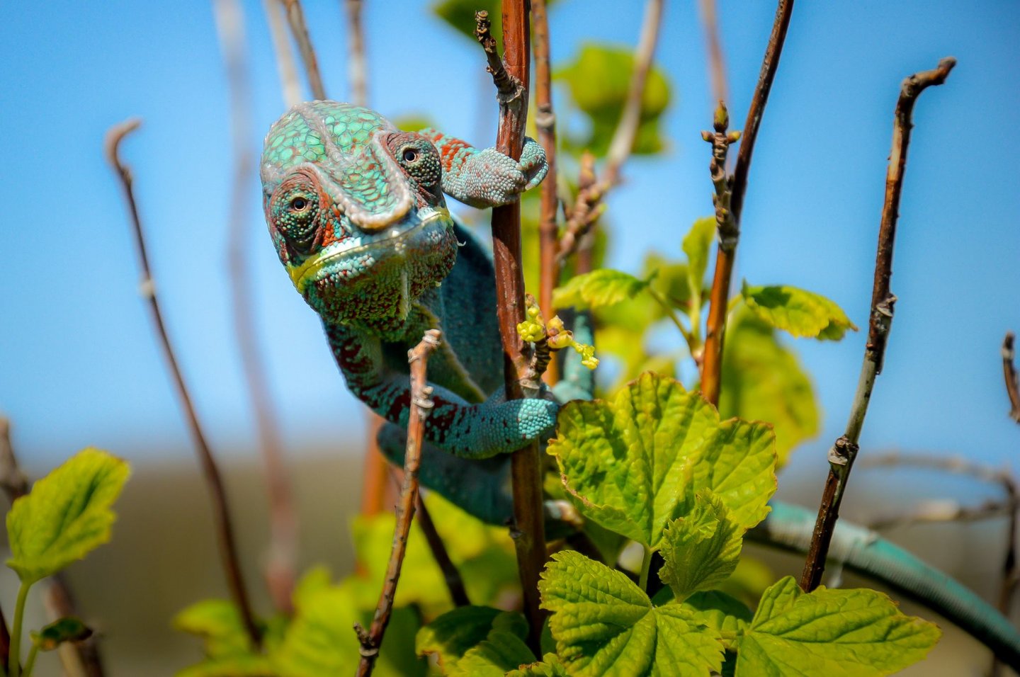 Outside for the first time