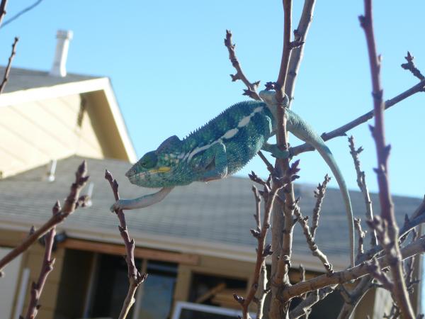 Outside getting some sun