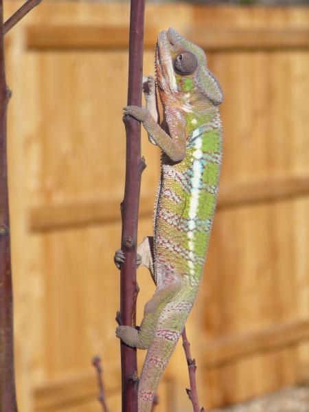 Outside getting some sun