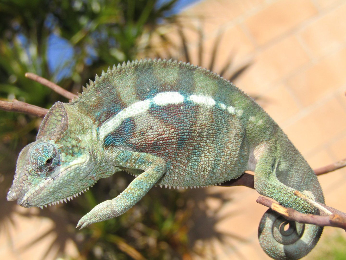 outside in the sun today