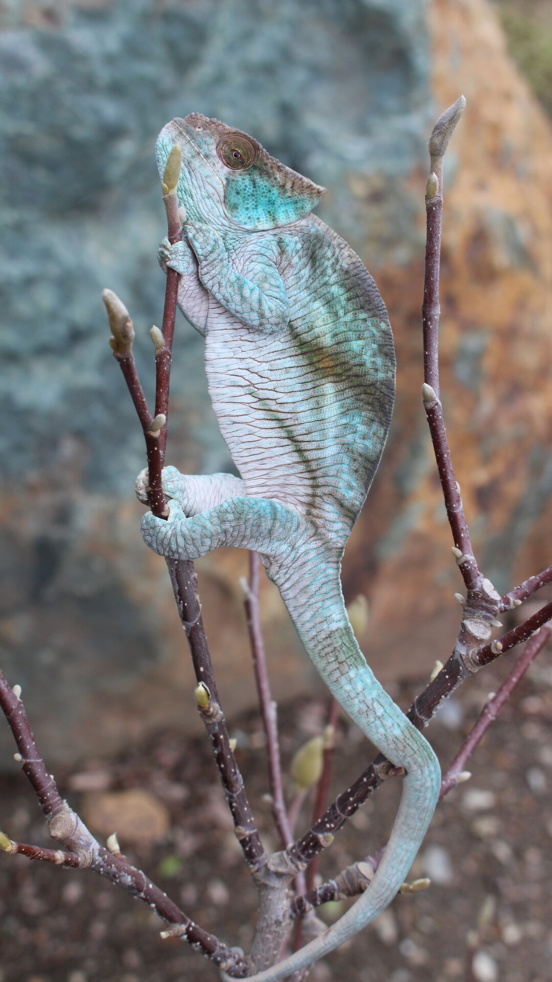 Outside Winter Garden Maximus