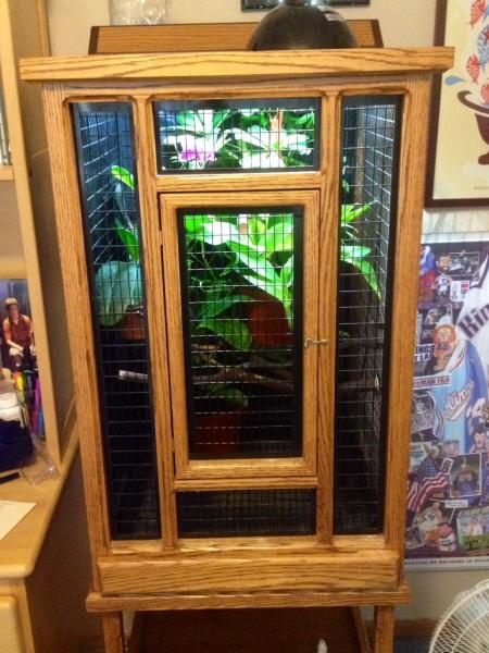 Overall cage: left side and back of the cage have been covered with a very fine garden mesh to provide a more secure feel for the chameleon, and also