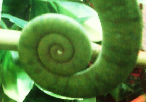 P100418 023500