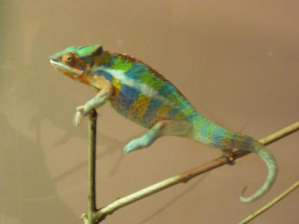 P1010074