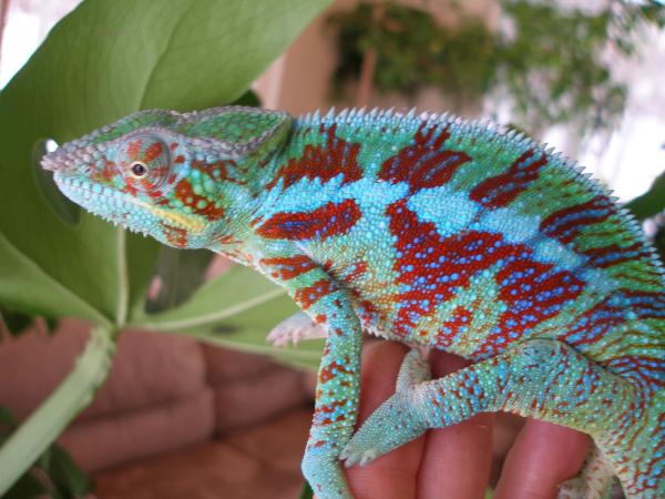 P1010142 [1600x1200]