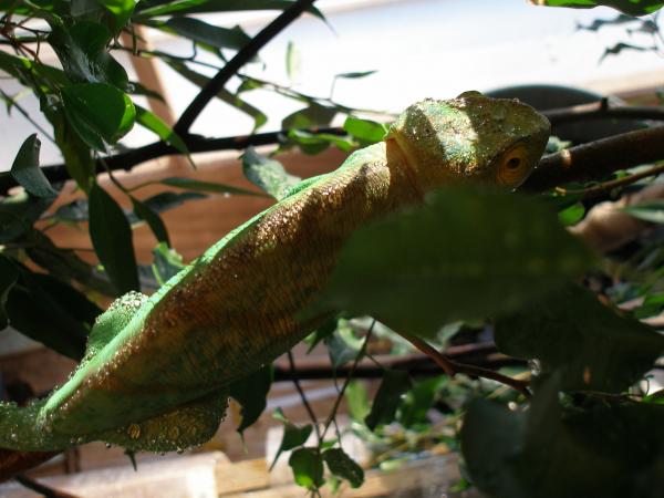 P1010522