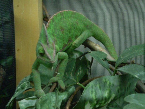 P1200048