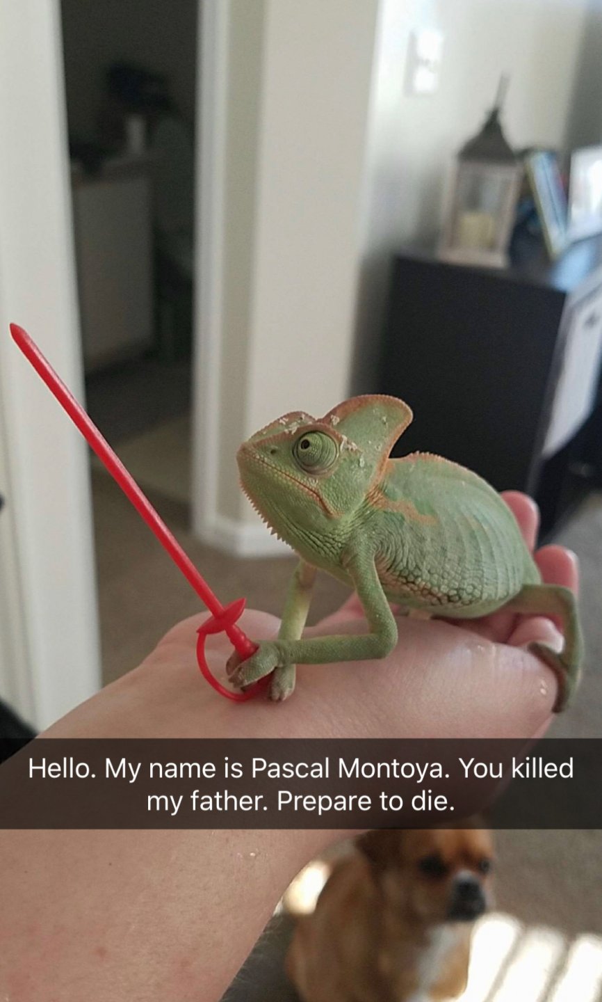 Pascal Montoya