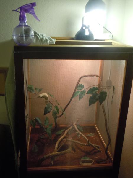 Pascal's cage as of early September '11
(Phase II)