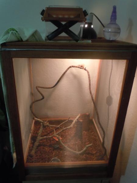 Pascal's cage as of late August '11
(First week of ownership- Phase I)