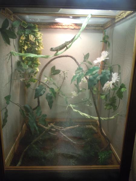 Pascal's cage as of mid October '11
(Phase III)