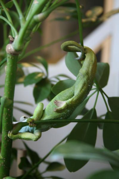 peek a boo...i seeeee yooouu