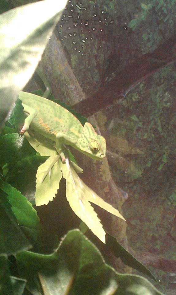 & Petrie My Baby Girl <3