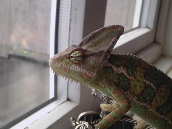 Photo 0022