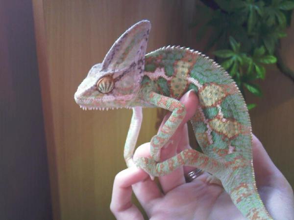 Photo 0032