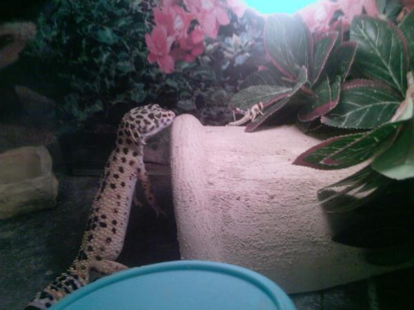 Photo 0260