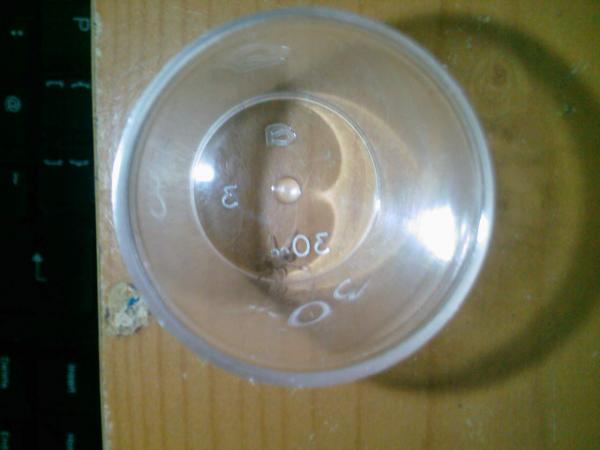 Photo 0428