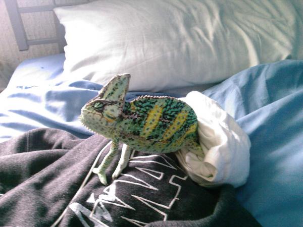 Photo 0466
