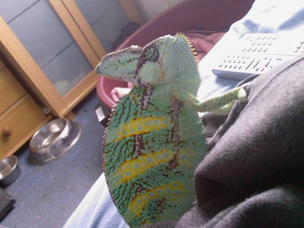 Photo 0469
