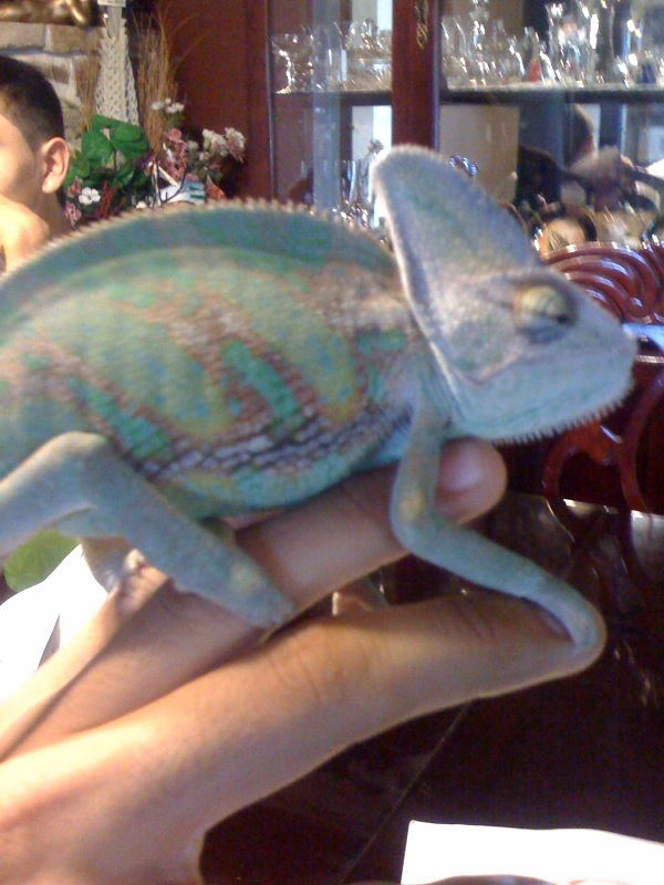Photo-4