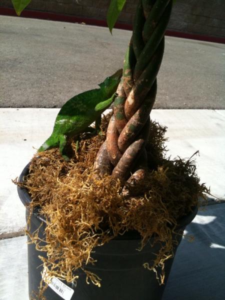 photo1