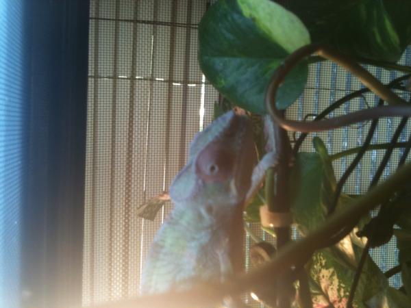 photo3