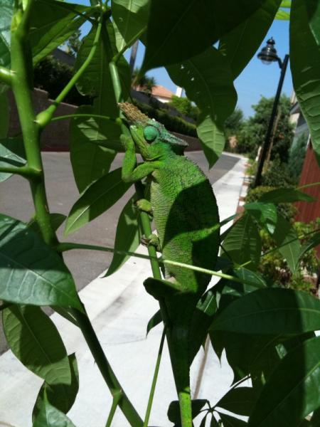 photo4