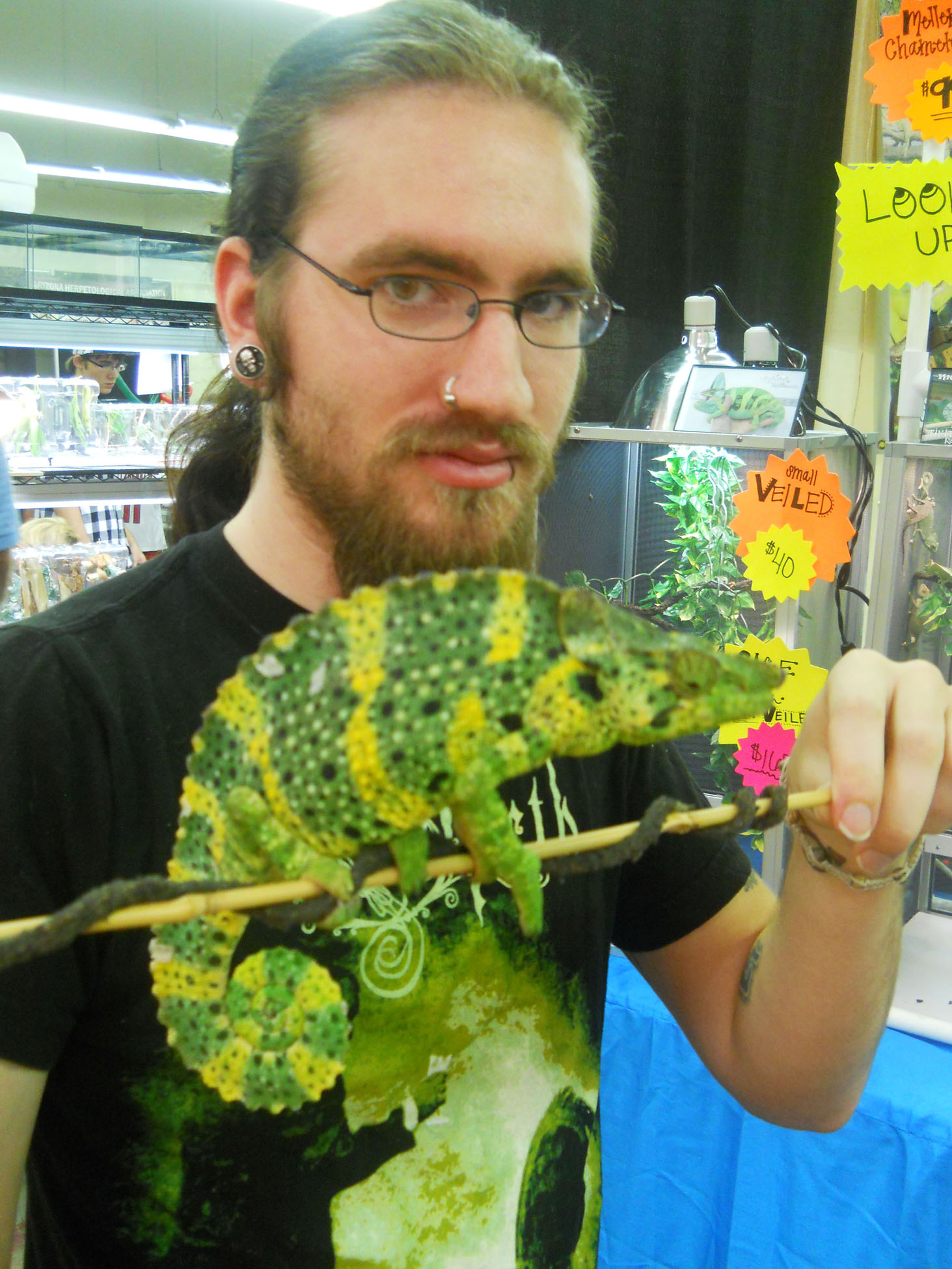 Picking My Cham At Tucson Reptile Expo